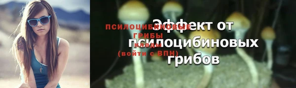 крисы Армянск