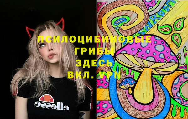 мяу мяу мука Аркадак