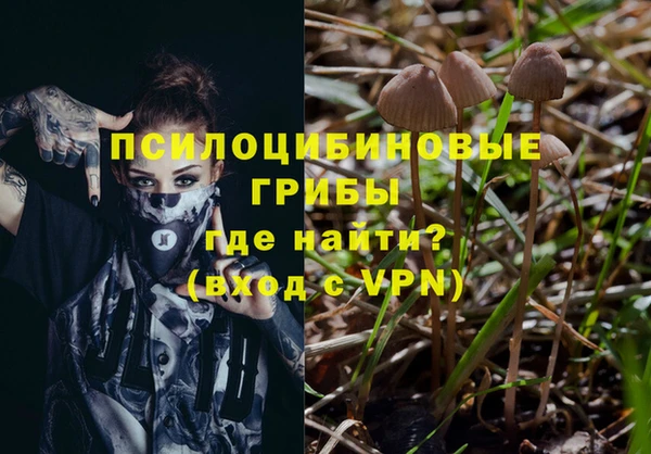 мяу мяу мука Аркадак