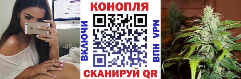 Бошки Шишки конопля  Похвистнево 